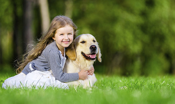 Lawn Care Maple Grove, MN