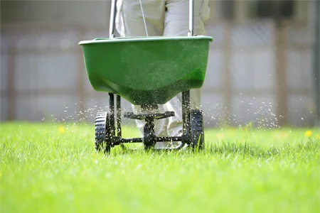 fertilizing lawn