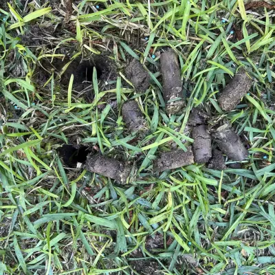 aeration-holes-dirt