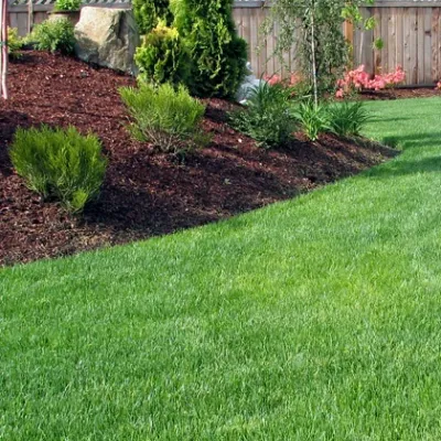 well taken care of lawn, green healthy grass and flower bed