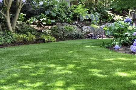 beautiful-lawn_copy