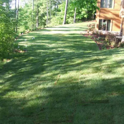 lawn