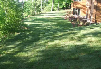 lawn