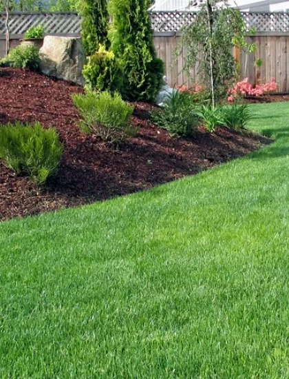 well taken care of lawn, green healthy grass and flower bed